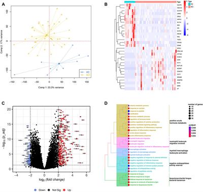 Protective effect of zinc oxide nanoparticles on spinal cord injury